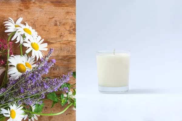 lumanari lumanare lumanari parfumate lumanare parfumata lumanari ceara naturala lumanari din ceara naturala lumanare ceara naturala lumanari handmade lumanari parfumate handmade lumanare lavanda si musetel lumanari lavanda si musetel lumanare parfumata lavanda si musetel lumanari parfumate lavanda si musetel lumanari ceara naturala lavanda si musetel lumanare ceara naturala lavanda si musetel lumanari handmade lavanda si musetel lumanare handmade lavanda si musetel lumanari naturala lavanda si musetel lumanari ceara lavanda si musetel lumanari parfumate handmade lavanda si musetel